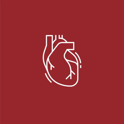 Sistema Cardiovascular